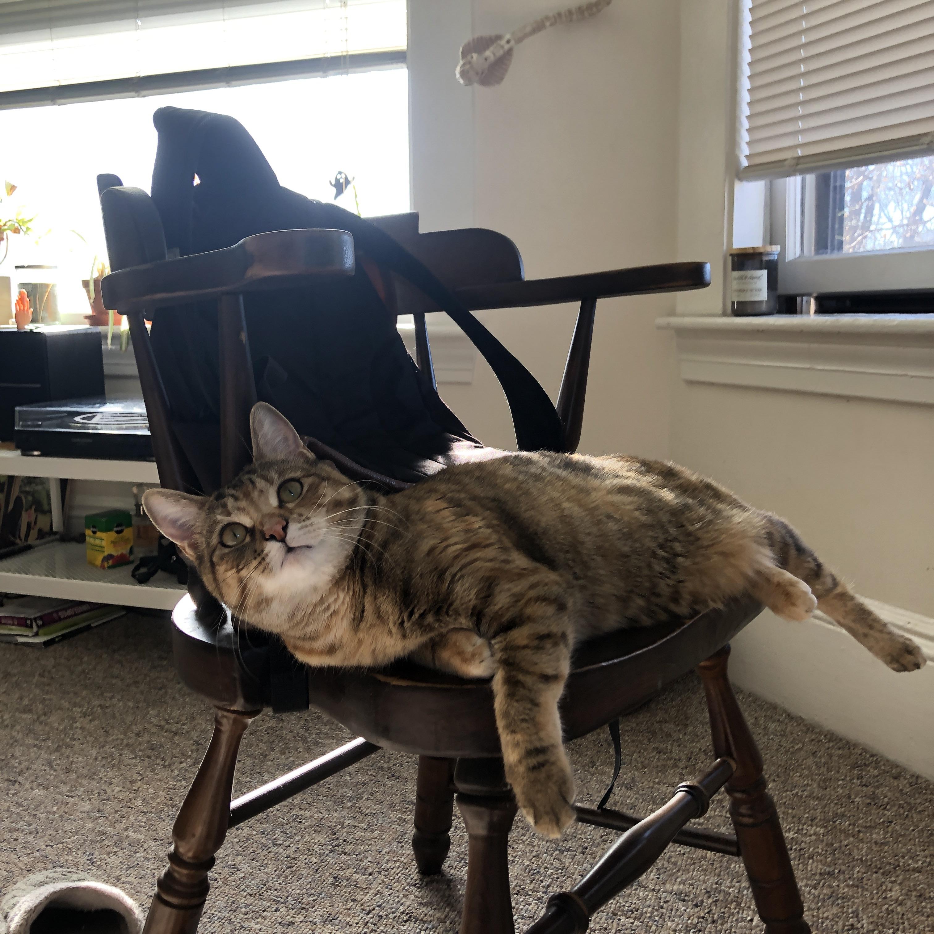 逆境中崛起的“英雄队伍”：他们如何翻盘逆转？，逆境造就英雄的案例