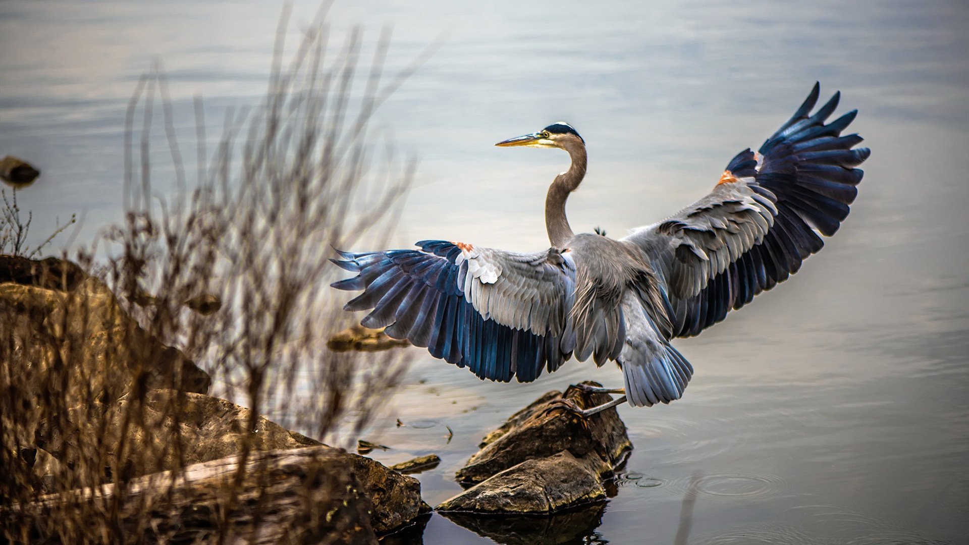 巴萨继续备战重要大战，雄心勃发，巴萨进攻