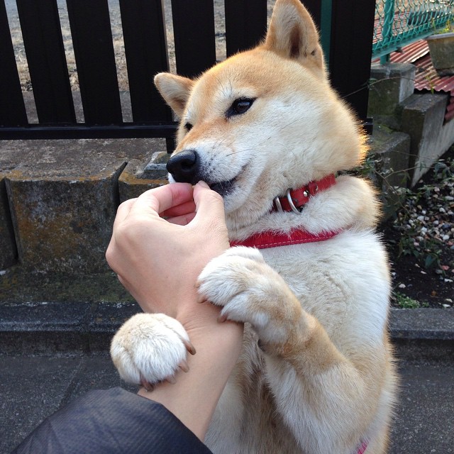 五大联赛无人问津球员如何靠机会重获关注，五大联赛的球星