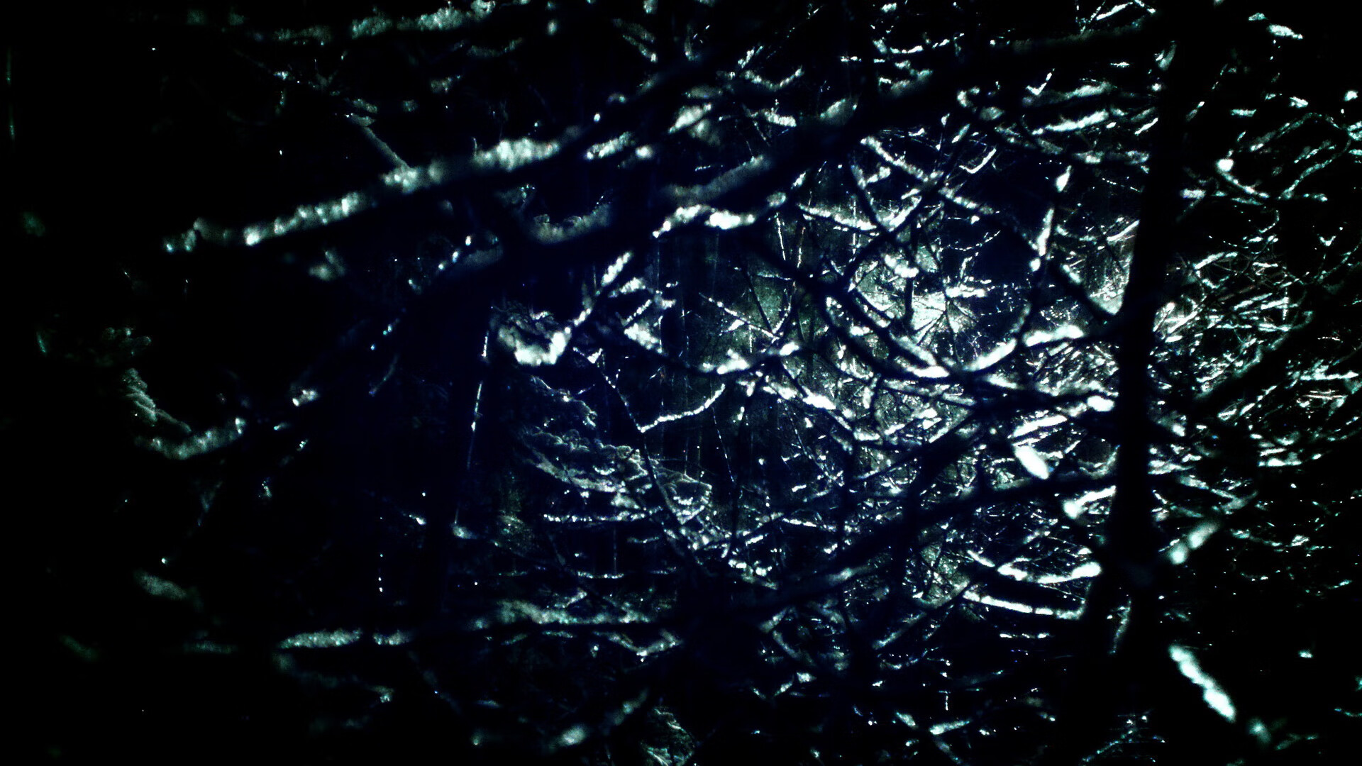 亚洲杯中国女足战胜 球员信心倍增,中国女足亚洲杯战绩