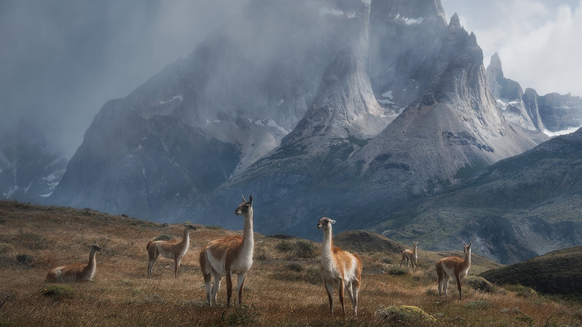 国家体育总局表彰年度优秀青少年教练员,国家体育总局青少年体育司副司长