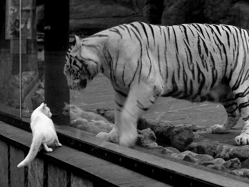 高校运动健康管理系统试点上线,高校健康体测系统