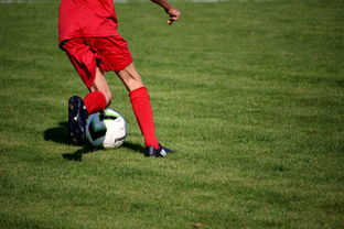 CBA球队加强后勤保障体系优化训练和比赛准备，cba后备联赛