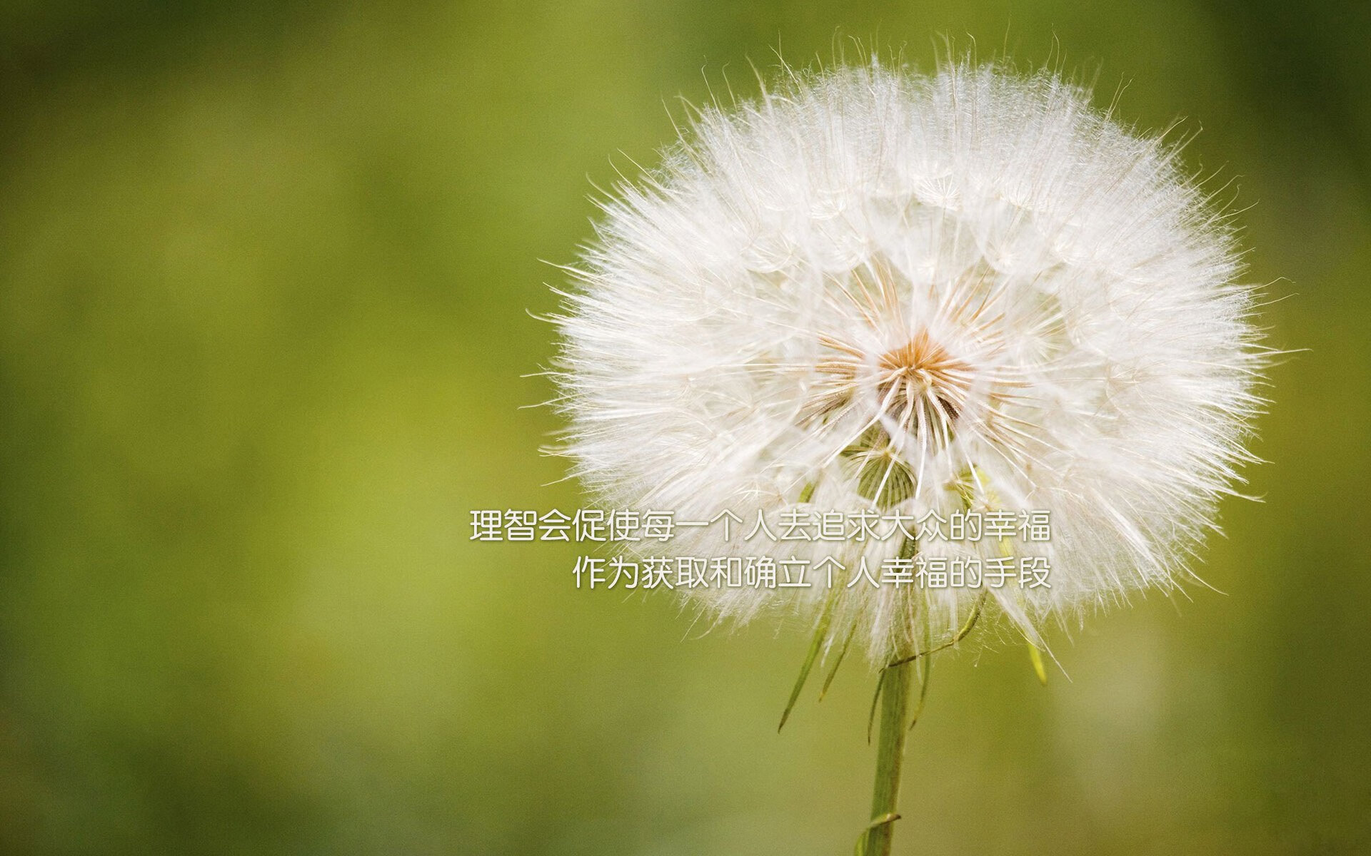 法甲十足火药味：场上场下都充满张力，法甲有哪些强队